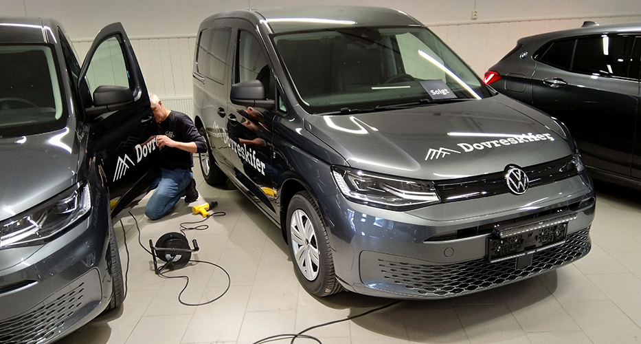 Bildekor Dovreskifer